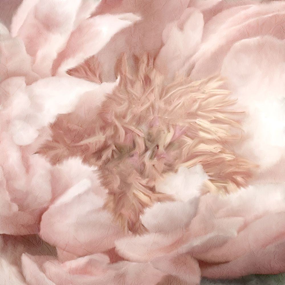 Peony Center art print by Kimberly Allen for $57.95 CAD