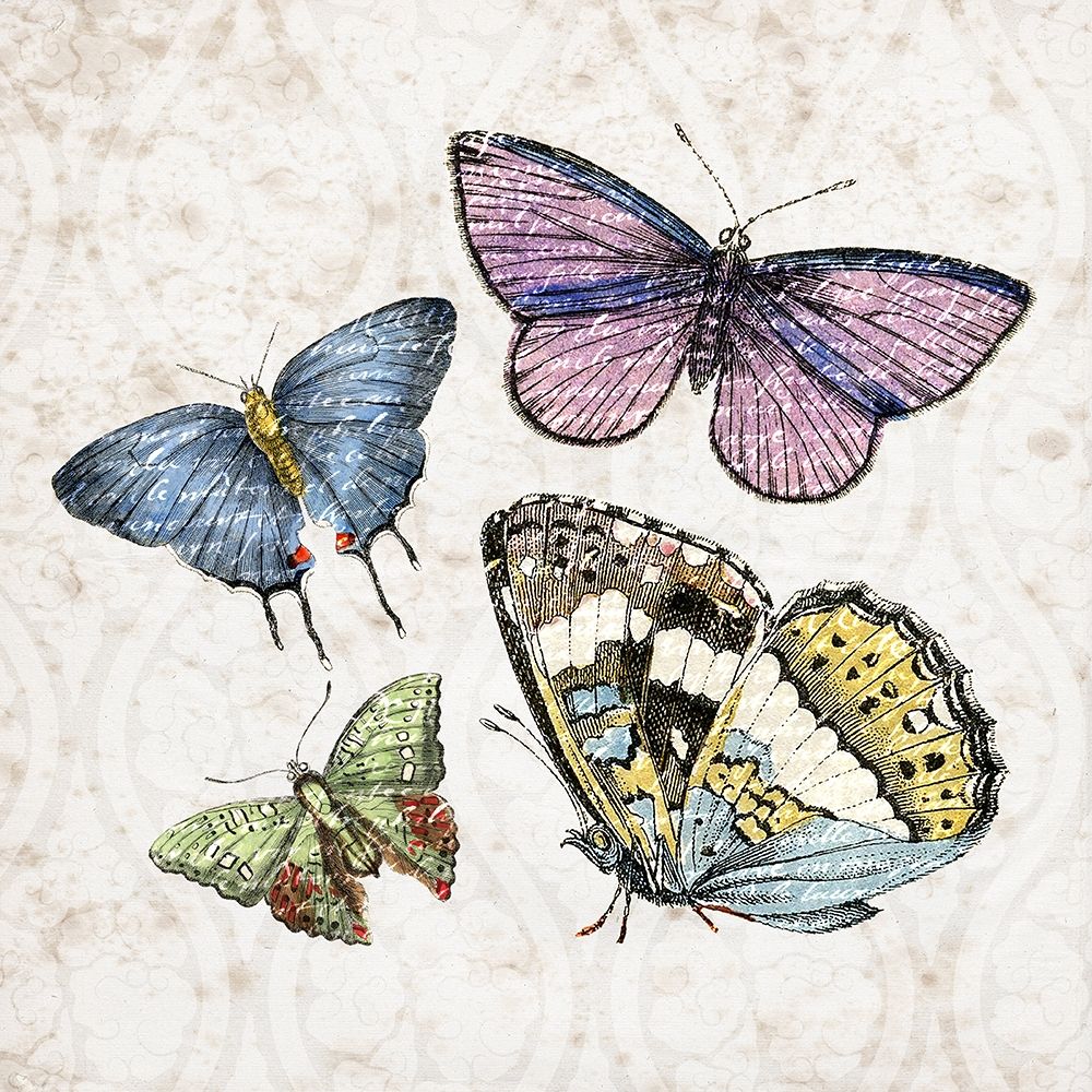 Butterfly Flight 1 art print by Kimberly Allen for $57.95 CAD