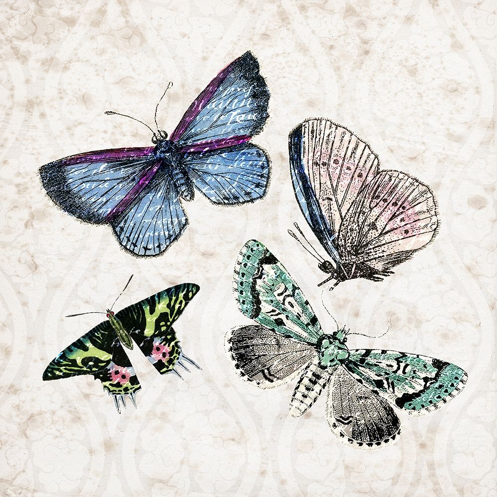 Butterfly Flight 2 art print by Kimberly Allen for $57.95 CAD