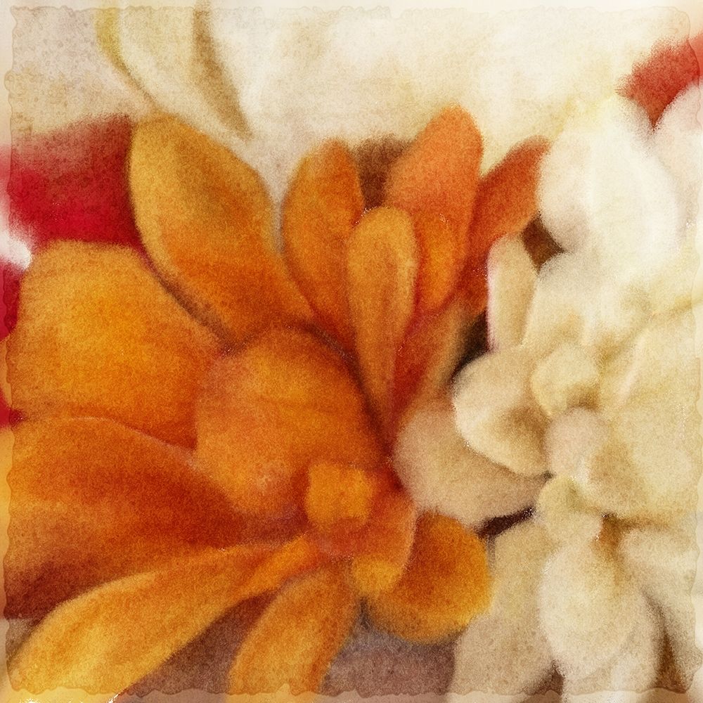 Full Bloom 1 art print by Kimberly Allen for $57.95 CAD