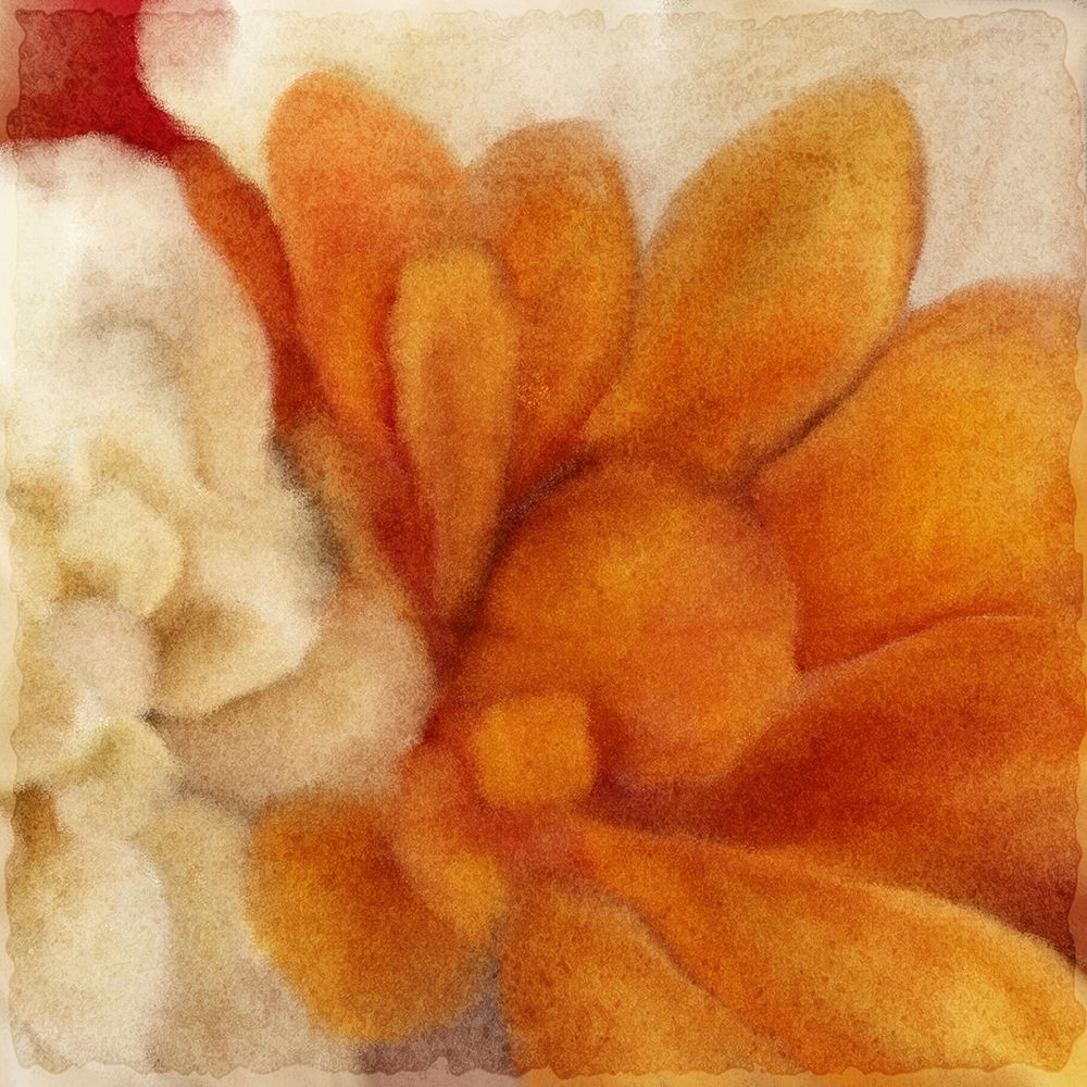 Full Bloom 2 art print by Kimberly Allen for $57.95 CAD