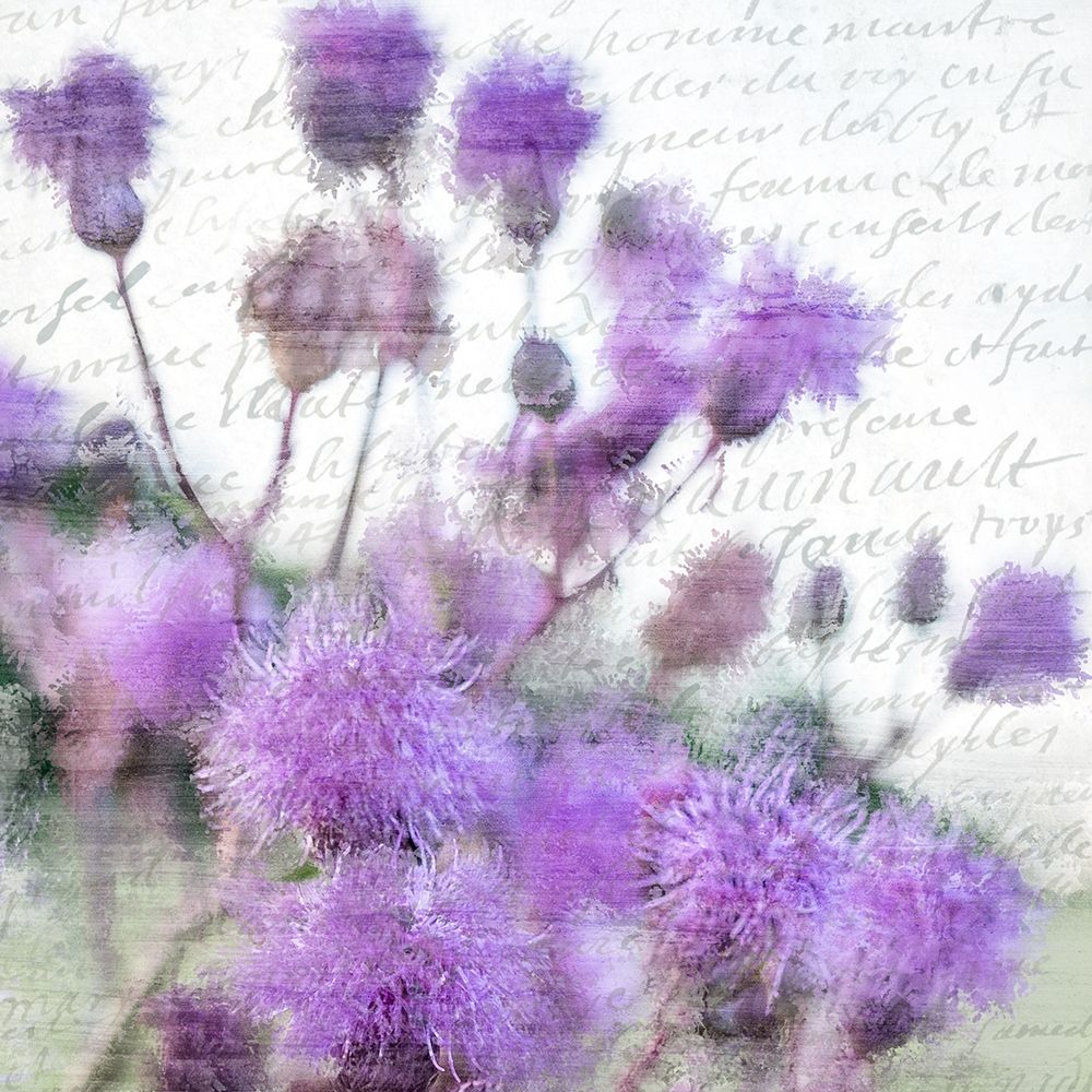 Purple Thistle 1 art print by Kimberly Allen for $57.95 CAD