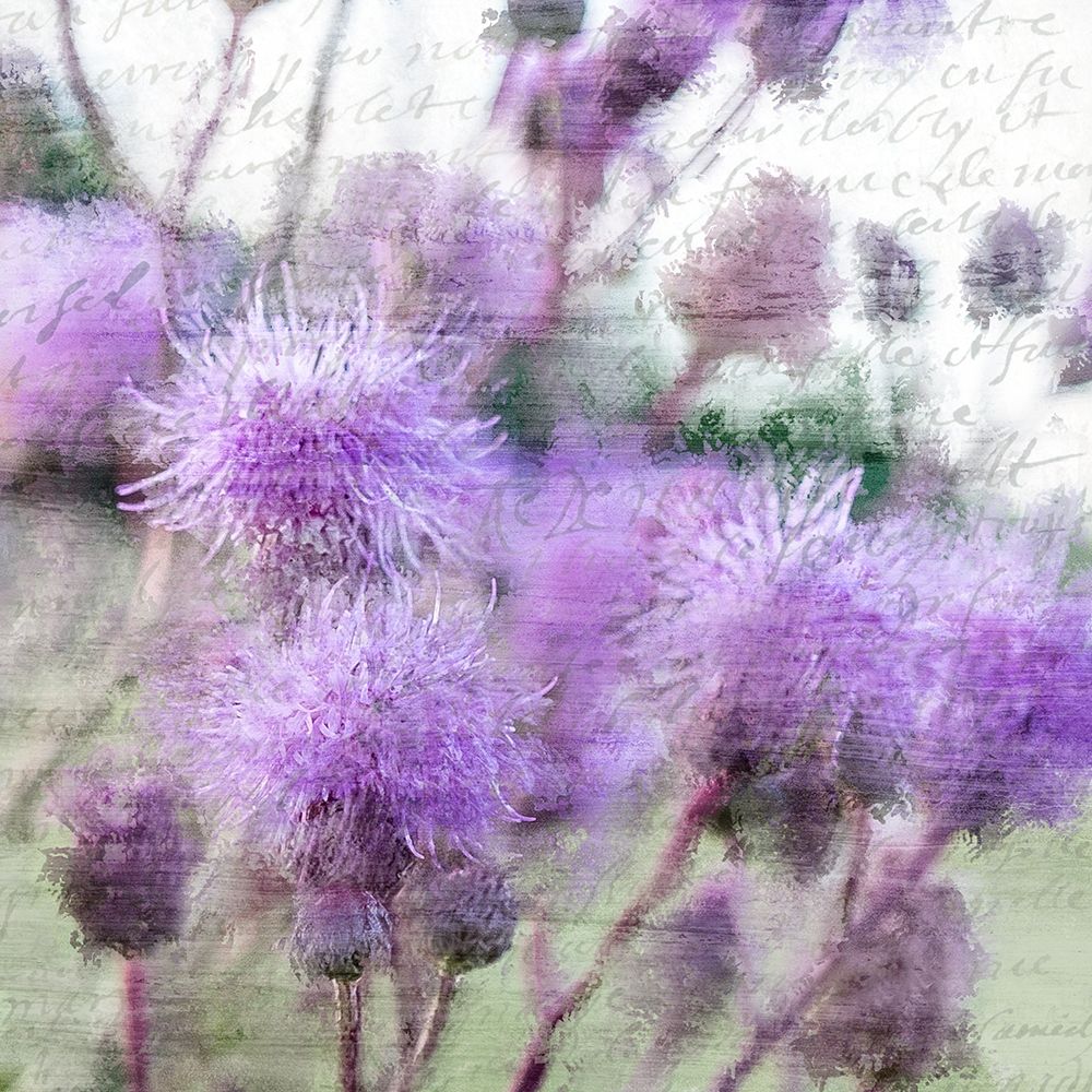 Purple Thistle 2 art print by Kimberly Allen for $57.95 CAD