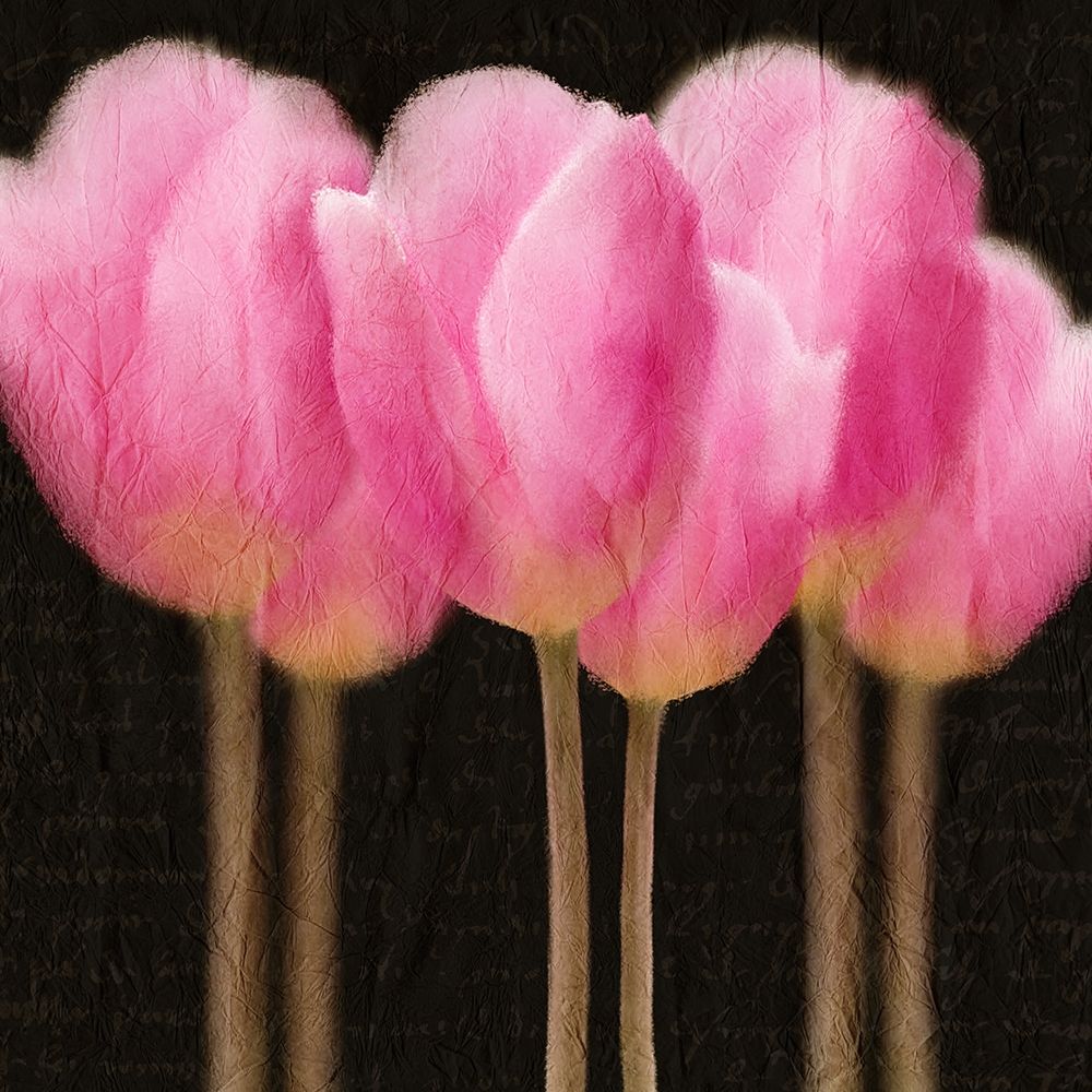 Pink Tulips art print by Kimberly Allen for $57.95 CAD