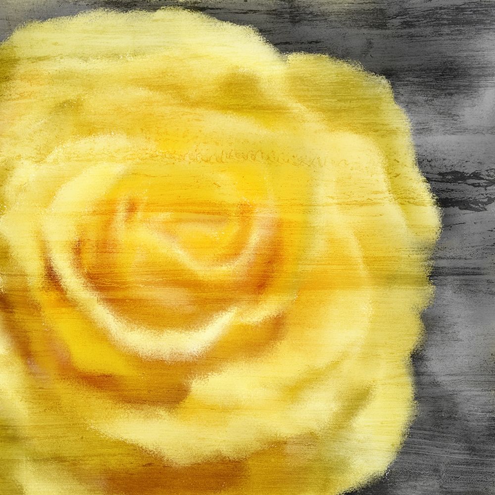 Yellow Rose art print by Kimberly Allen for $57.95 CAD