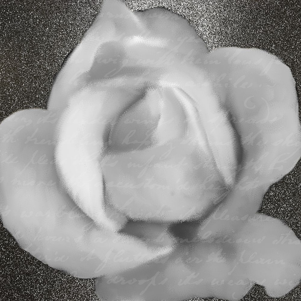 Grey Rose 1 art print by Kimberly Allen for $57.95 CAD