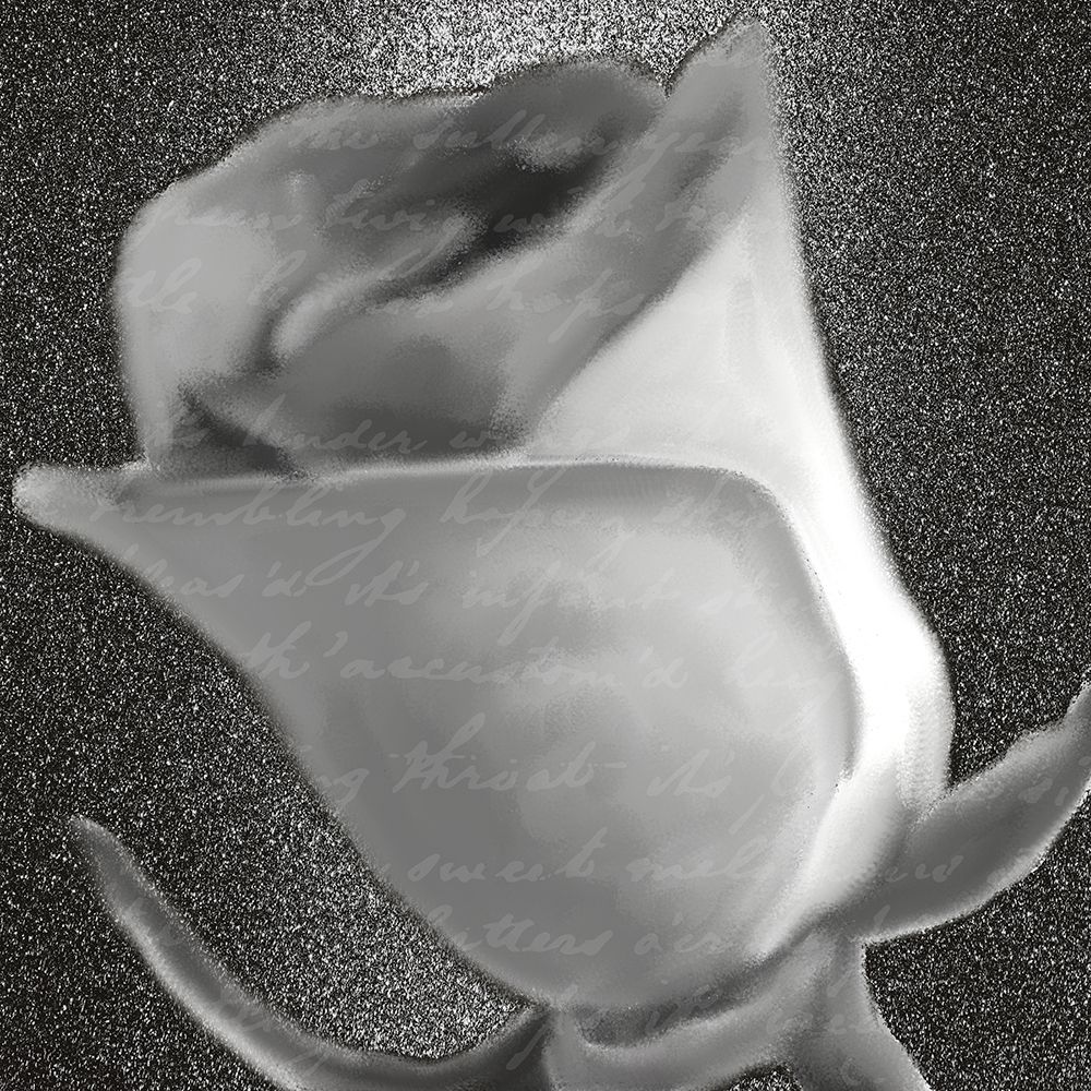 Grey Rose 2 art print by Kimberly Allen for $57.95 CAD