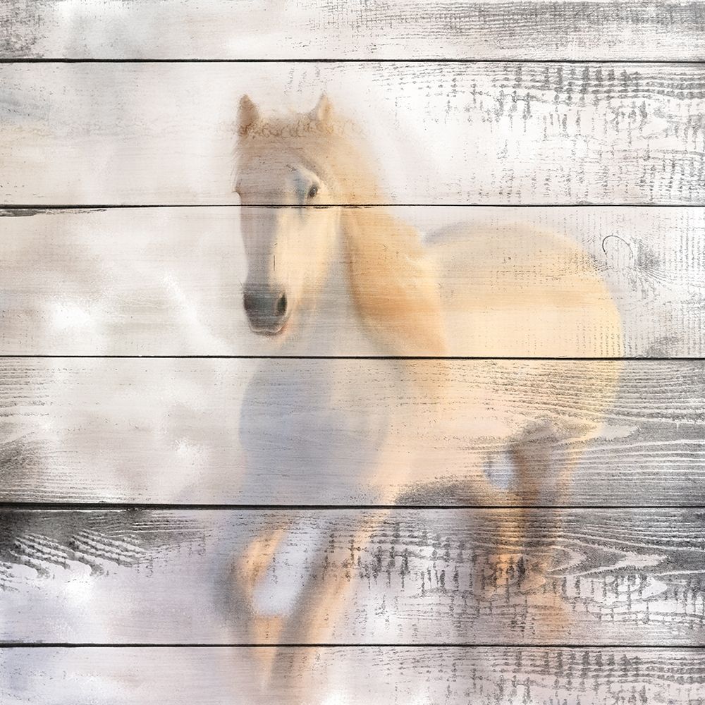 White Knight art print by Kimberly Allen for $57.95 CAD