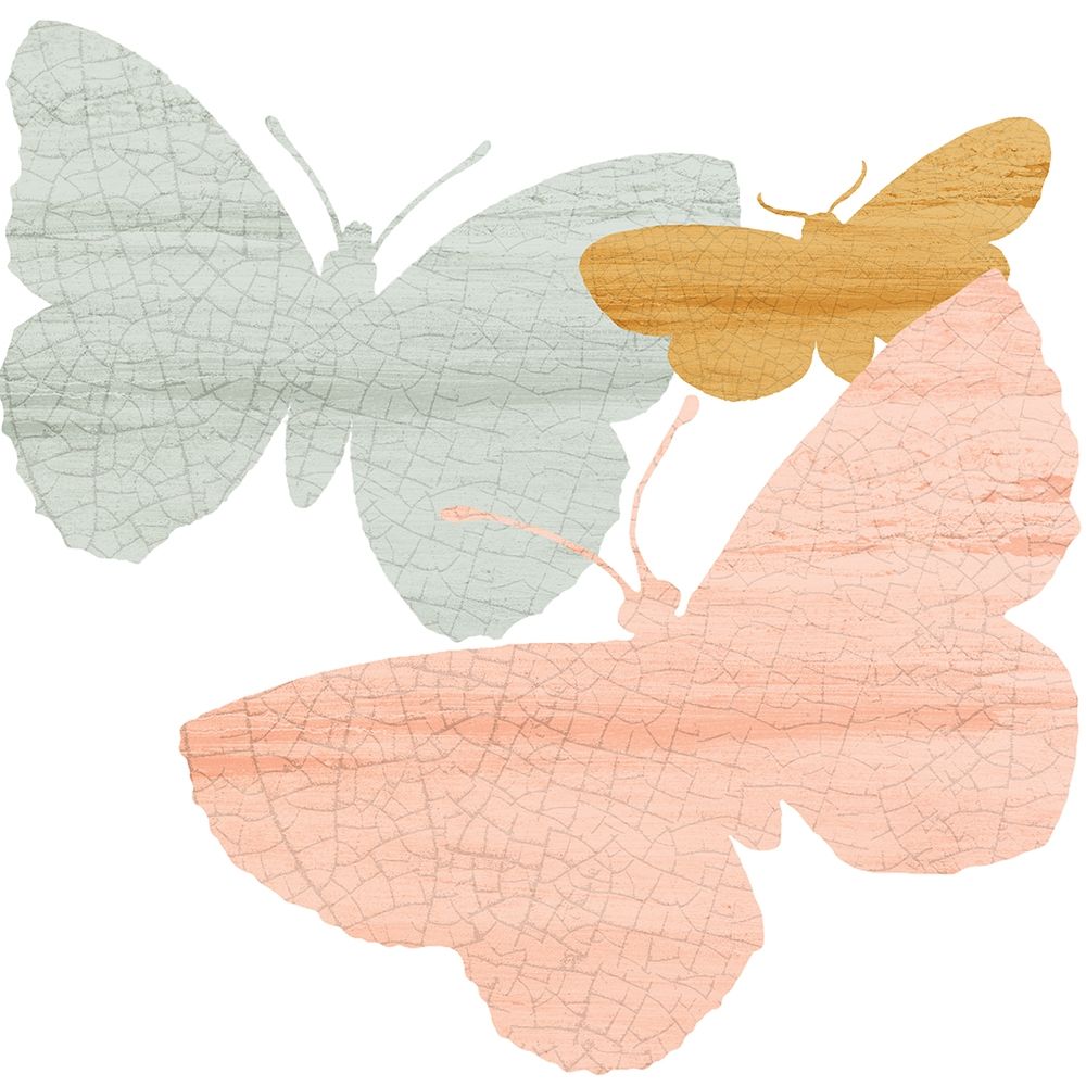 Butterfly Collection 1 art print by Kimberly Allen for $57.95 CAD
