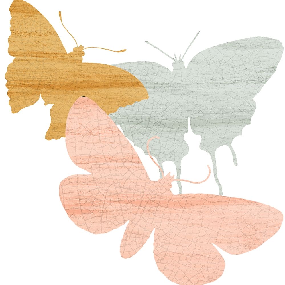 Butterfly Collection 2 art print by Kimberly Allen for $57.95 CAD