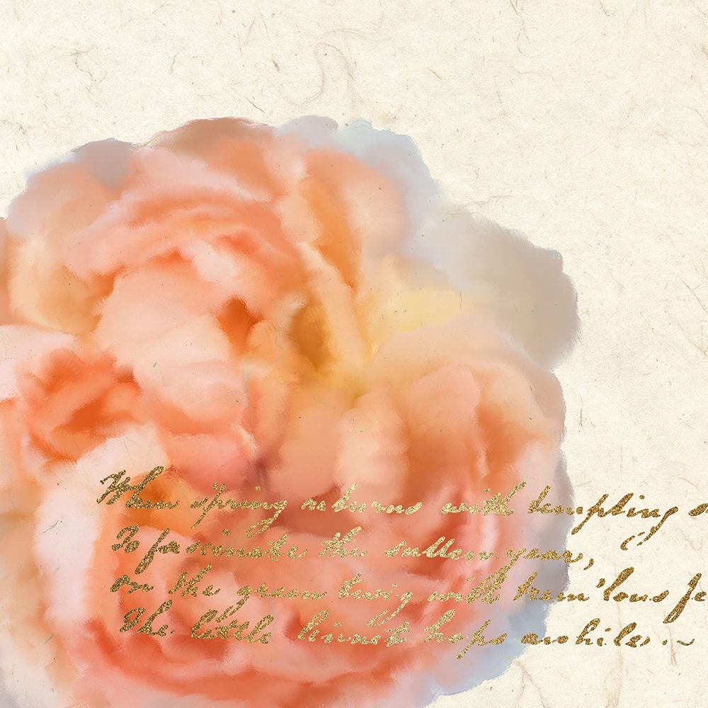 Spring Blooming Peach art print by Kimberly Allen for $57.95 CAD