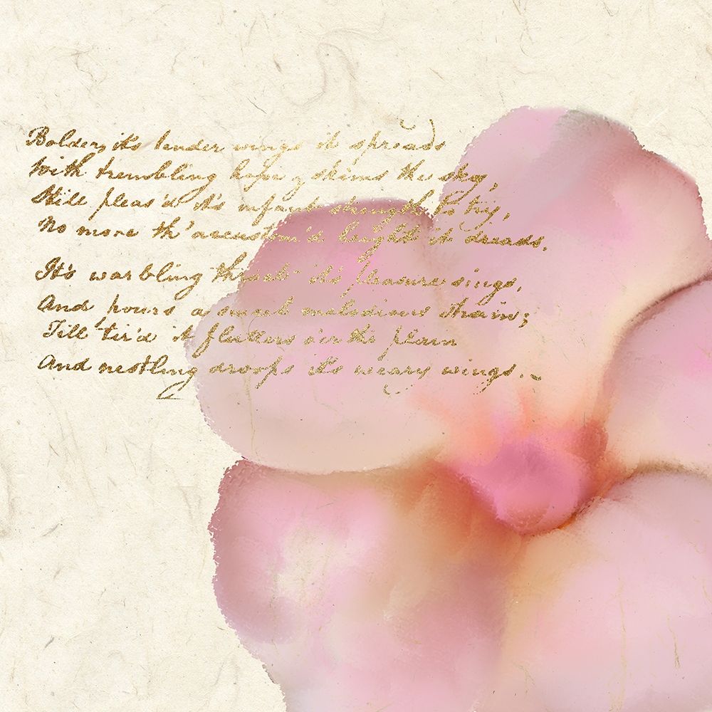 Spring Blooming Pink art print by Kimberly Allen for $57.95 CAD