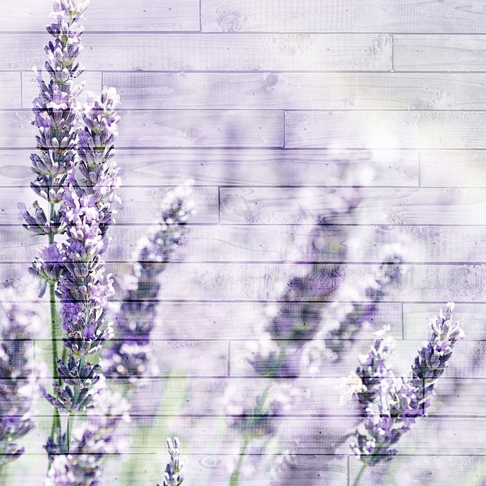 Lavender Fields 2 art print by Kimberly Allen for $57.95 CAD