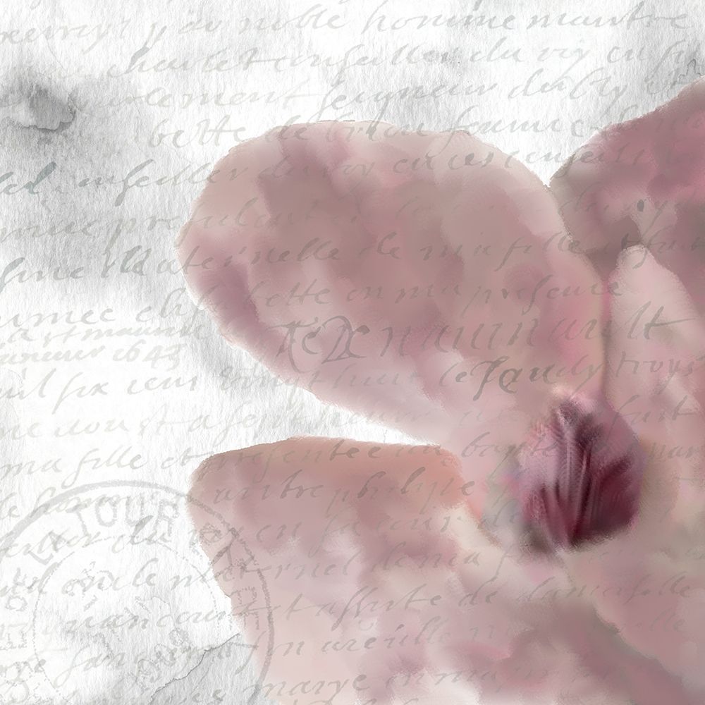 Magnolia Bloom 2 art print by Kimberly Allen for $57.95 CAD