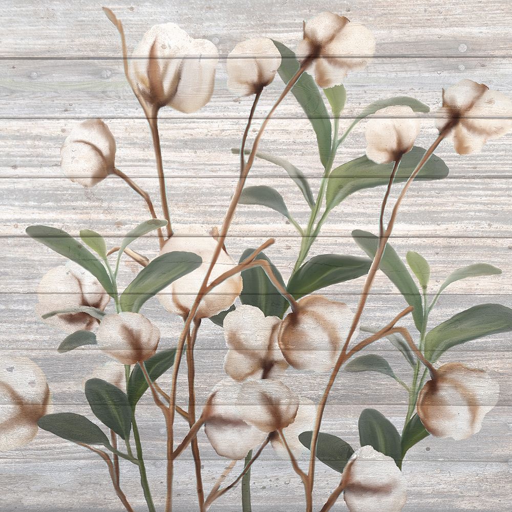 Cotton Days 3 art print by Kimberly Allen for $57.95 CAD