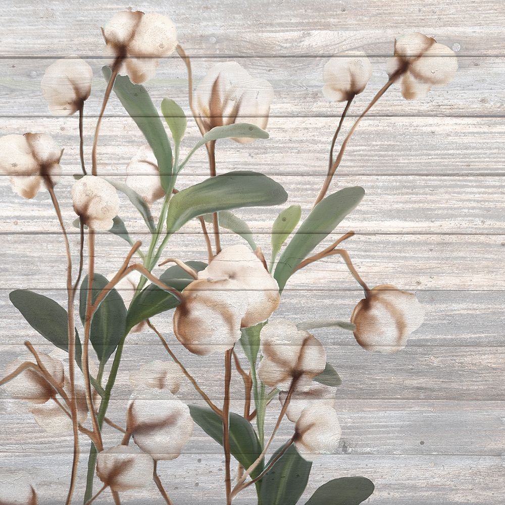 Cotton Days 4 art print by Kimberly Allen for $57.95 CAD