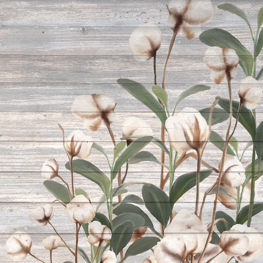 Cotton Days art print by Kimberly Allen for $57.95 CAD
