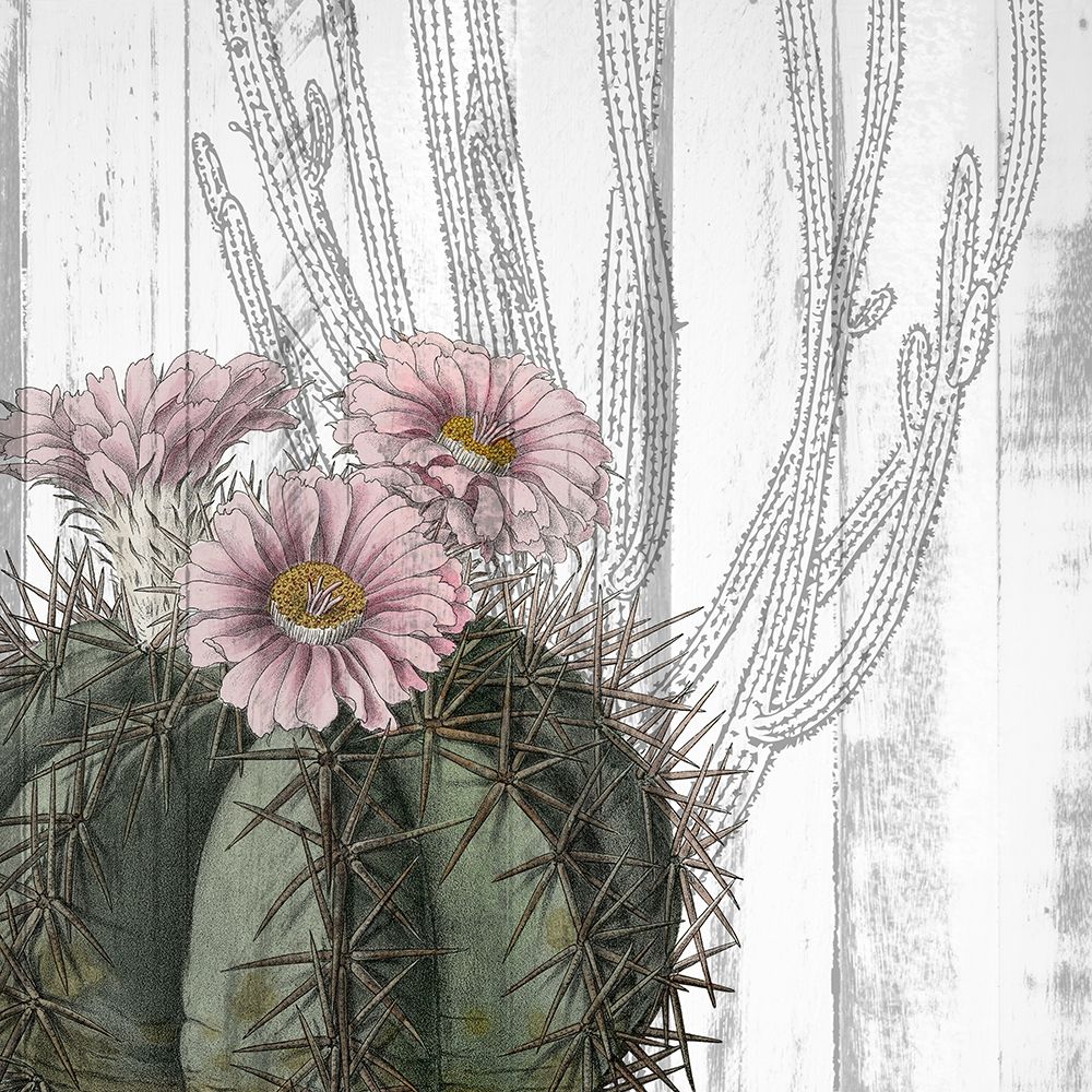 Cactus Cowboy 1 art print by Kimberly Allen for $57.95 CAD