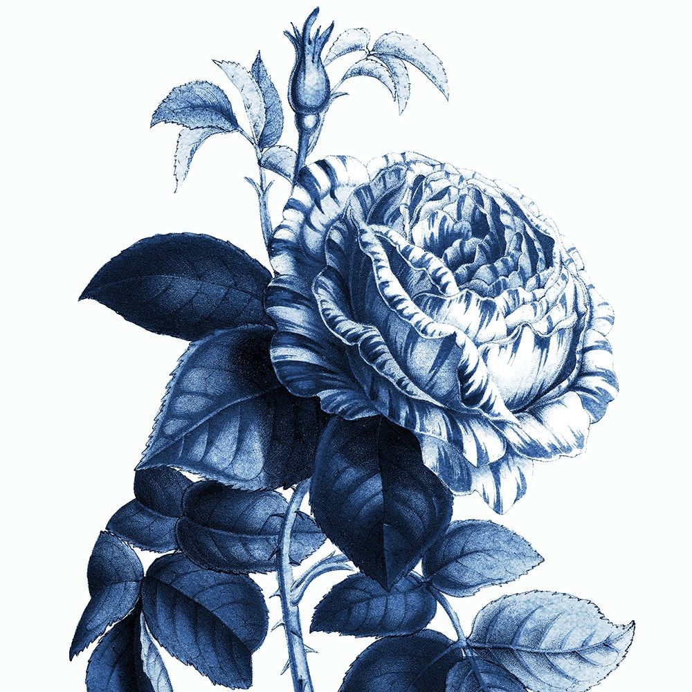 White Indigo 1 v2 art print by Kimberly Allen for $57.95 CAD