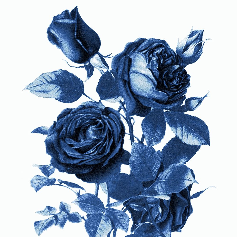 White Indigo 2 v2 art print by Kimberly Allen for $57.95 CAD