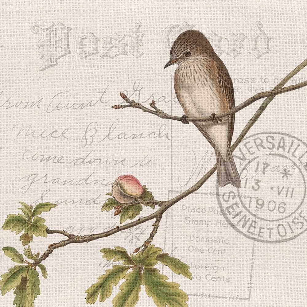 Summer Song 1 art print by Kimberly Allen for $57.95 CAD