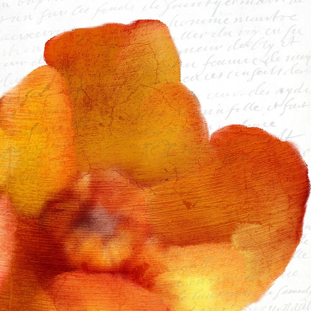 Bold Bloom 1 art print by Kimberly Allen for $57.95 CAD