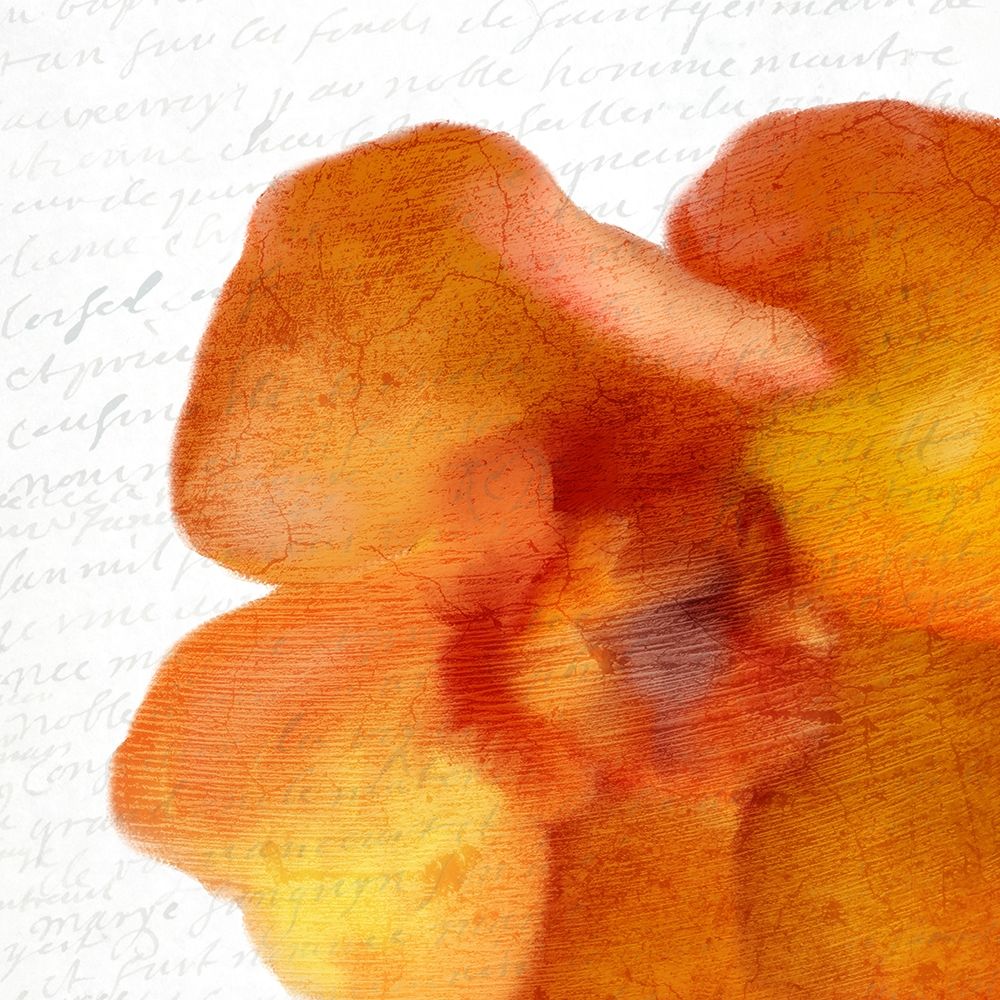 Bold Bloom 2 art print by Kimberly Allen for $57.95 CAD