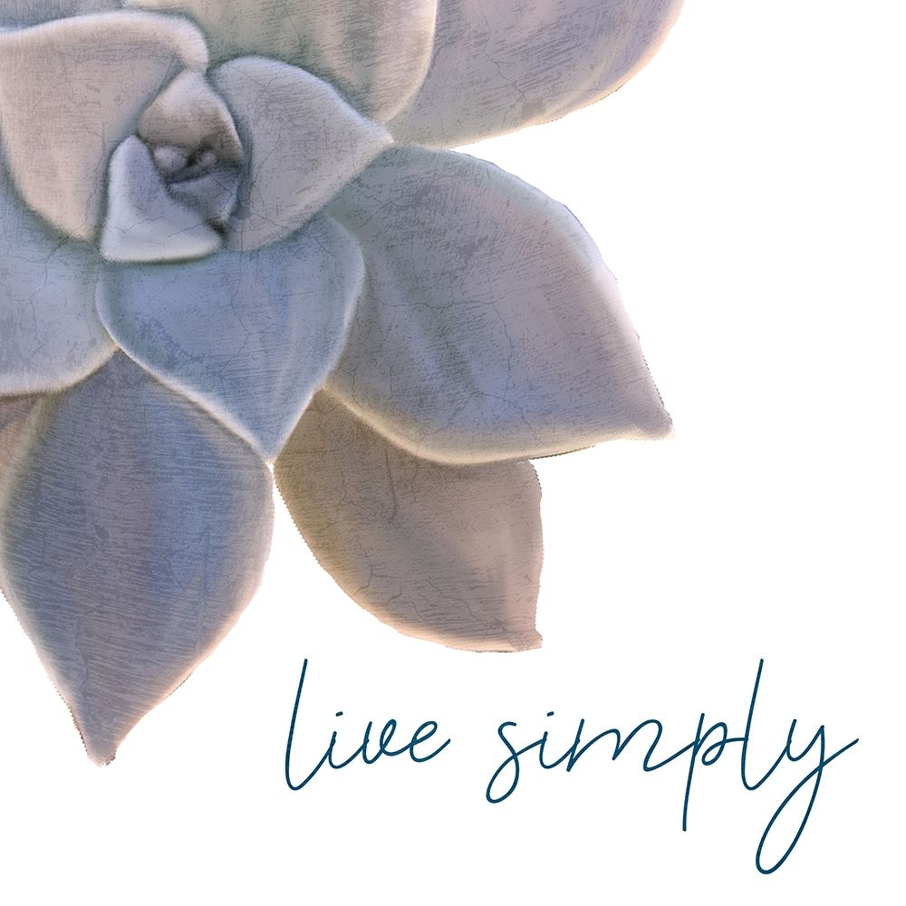 Live Simply art print by Kimberly Allen for $57.95 CAD