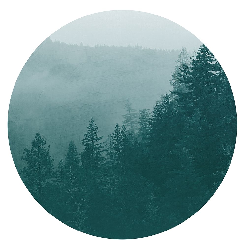Forest Dreams 1 art print by Kimberly Allen for $57.95 CAD