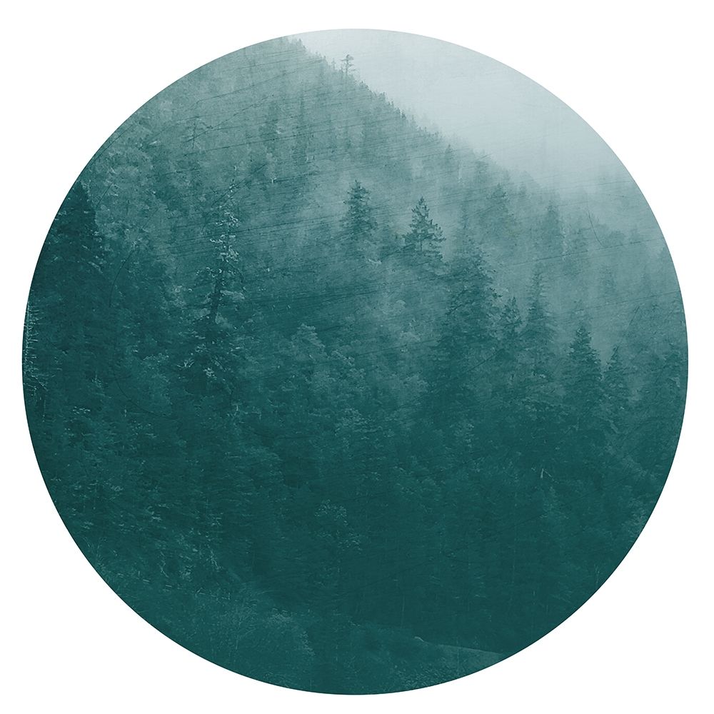 Forest Dreams 2 art print by Kimberly Allen for $57.95 CAD