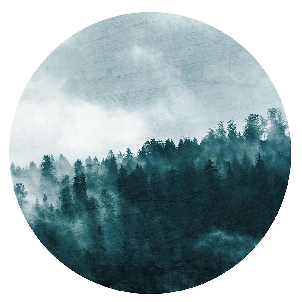 In the Forest 1 art print by Kimberly Allen for $57.95 CAD