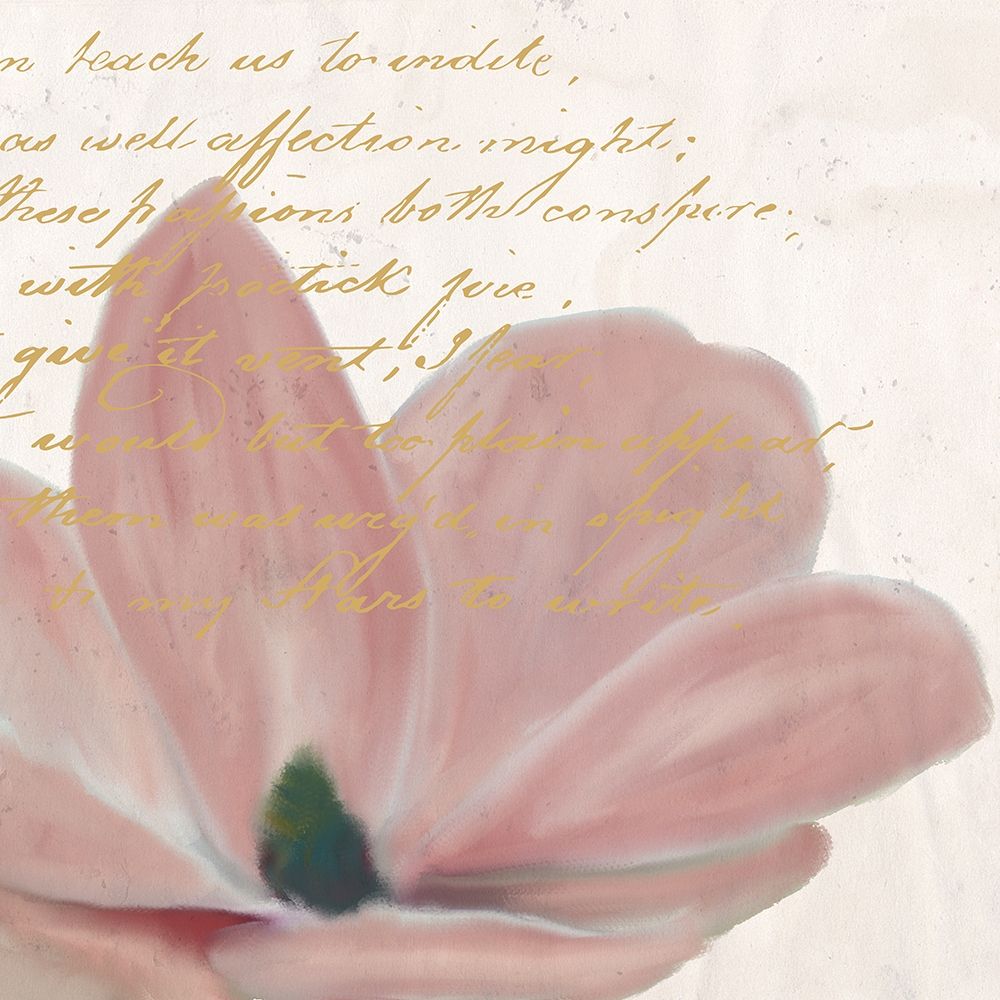 Magnolia 1 art print by Kimberly Allen for $57.95 CAD