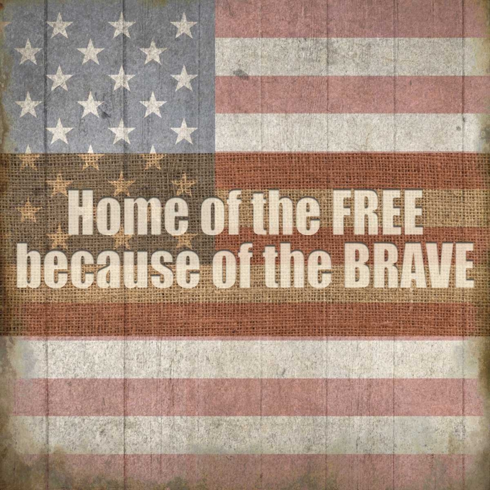 Americana 2 art print by Kimberly Allen for $57.95 CAD