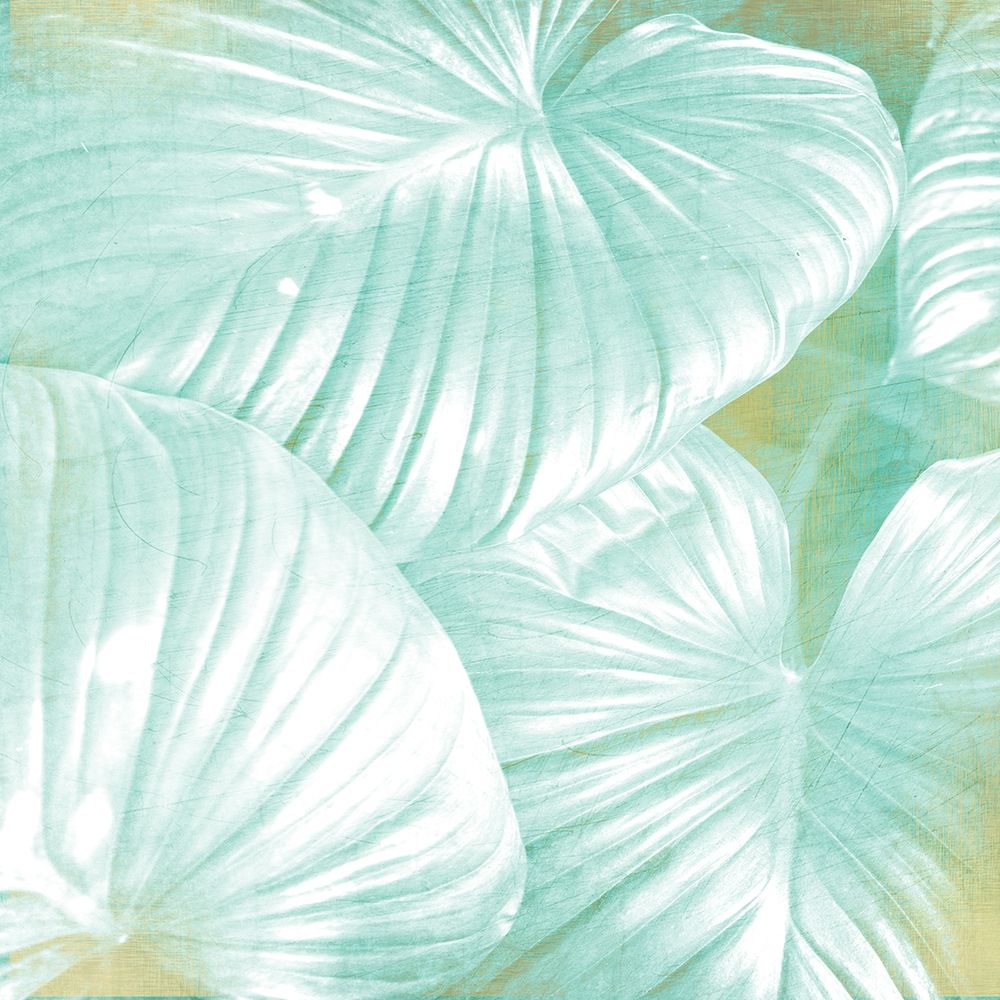 Tropics 1 art print by Kimberly Allen for $57.95 CAD