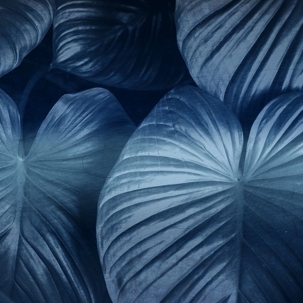 Tropic Indigo art print by Kimberly Allen for $57.95 CAD