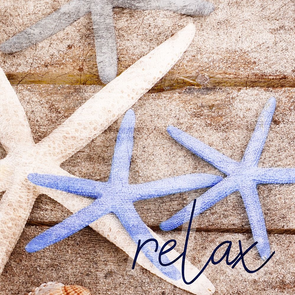 Starfish 2 art print by Kimberly Allen for $57.95 CAD