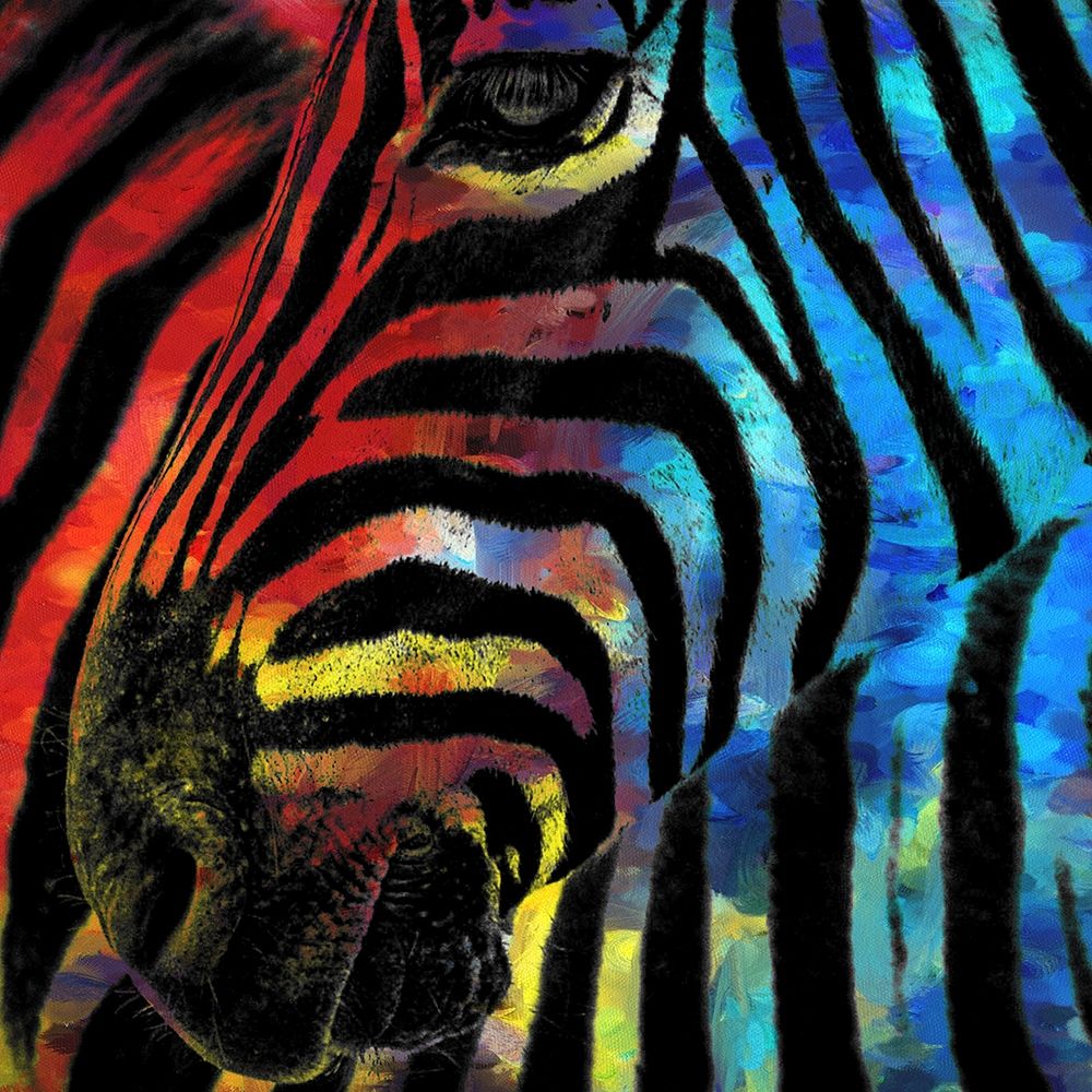 Zebra 1 art print by Kimberly Allen for $57.95 CAD