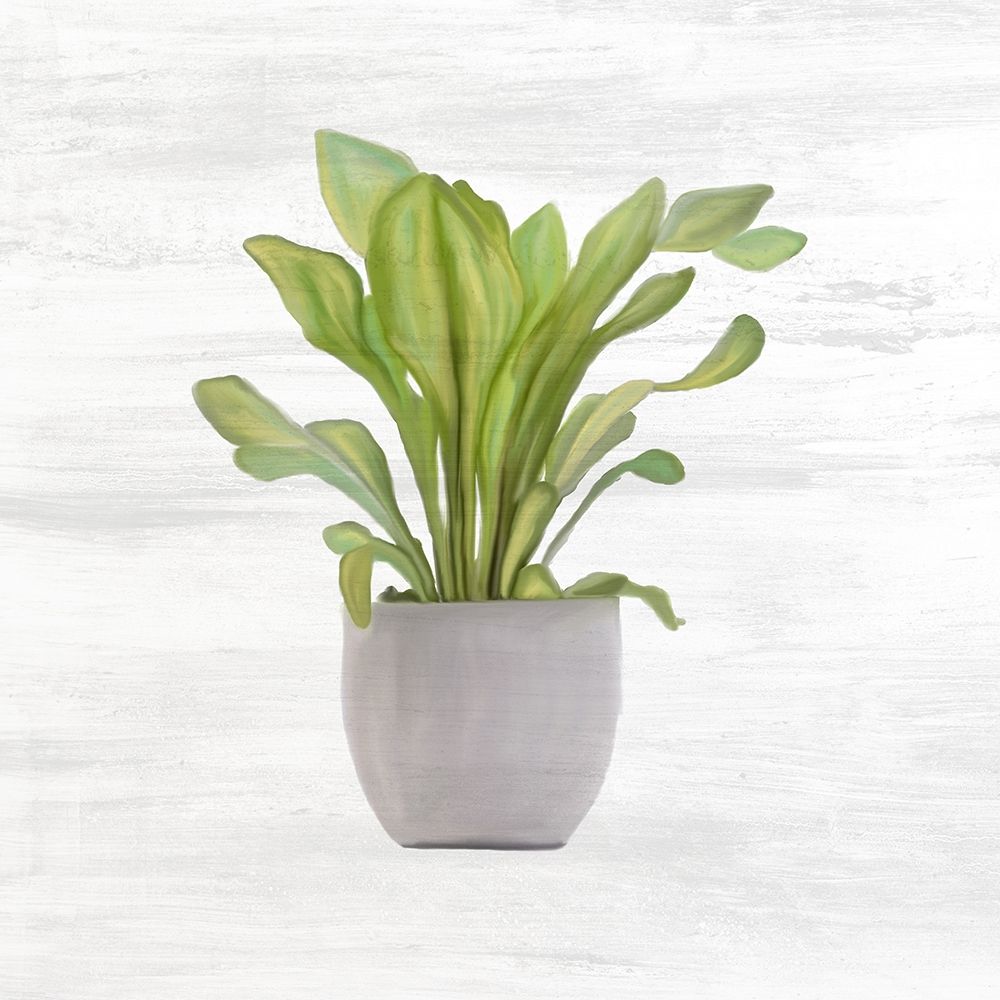 Spring Green 1 art print by Kimberly Allen for $57.95 CAD