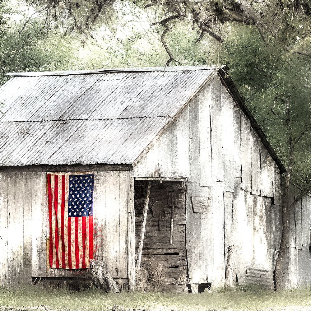 Old Glory 2 art print by Kimberly Allen for $57.95 CAD