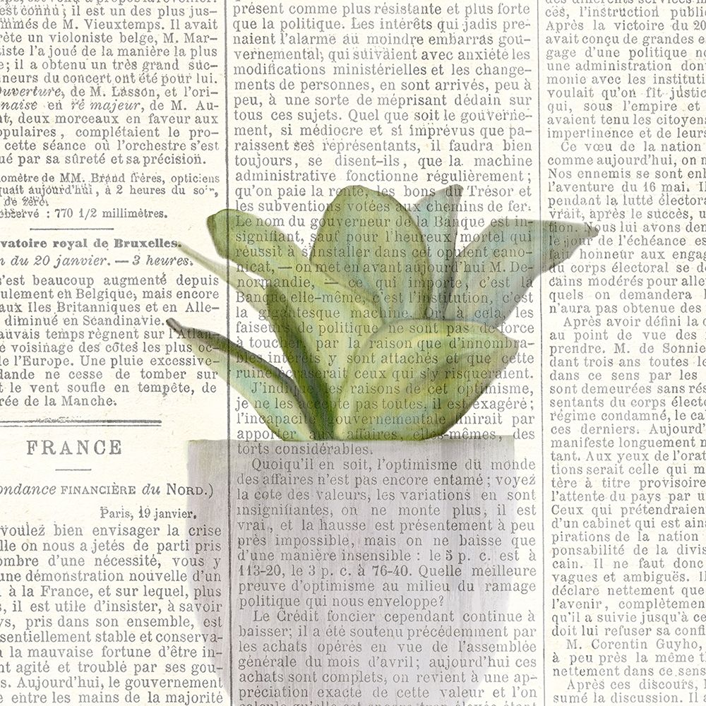 Potted Print 2 art print by Kimberly Allen for $57.95 CAD