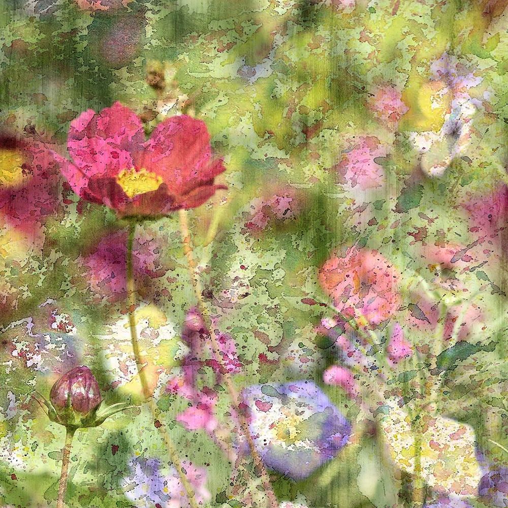 Wildflower Square 1 art print by Kimberly Allen for $57.95 CAD