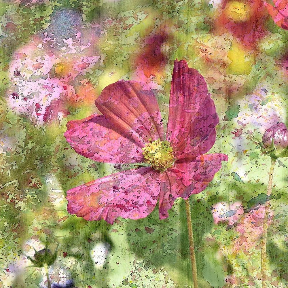 Wildflower Square 2 art print by Kimberly Allen for $57.95 CAD