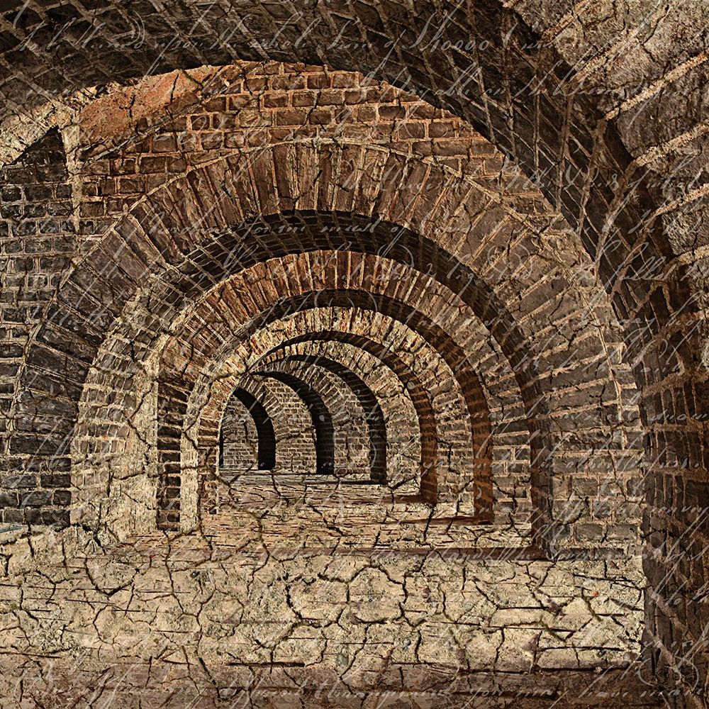 Underground 1 art print by Kimberly Allen for $57.95 CAD