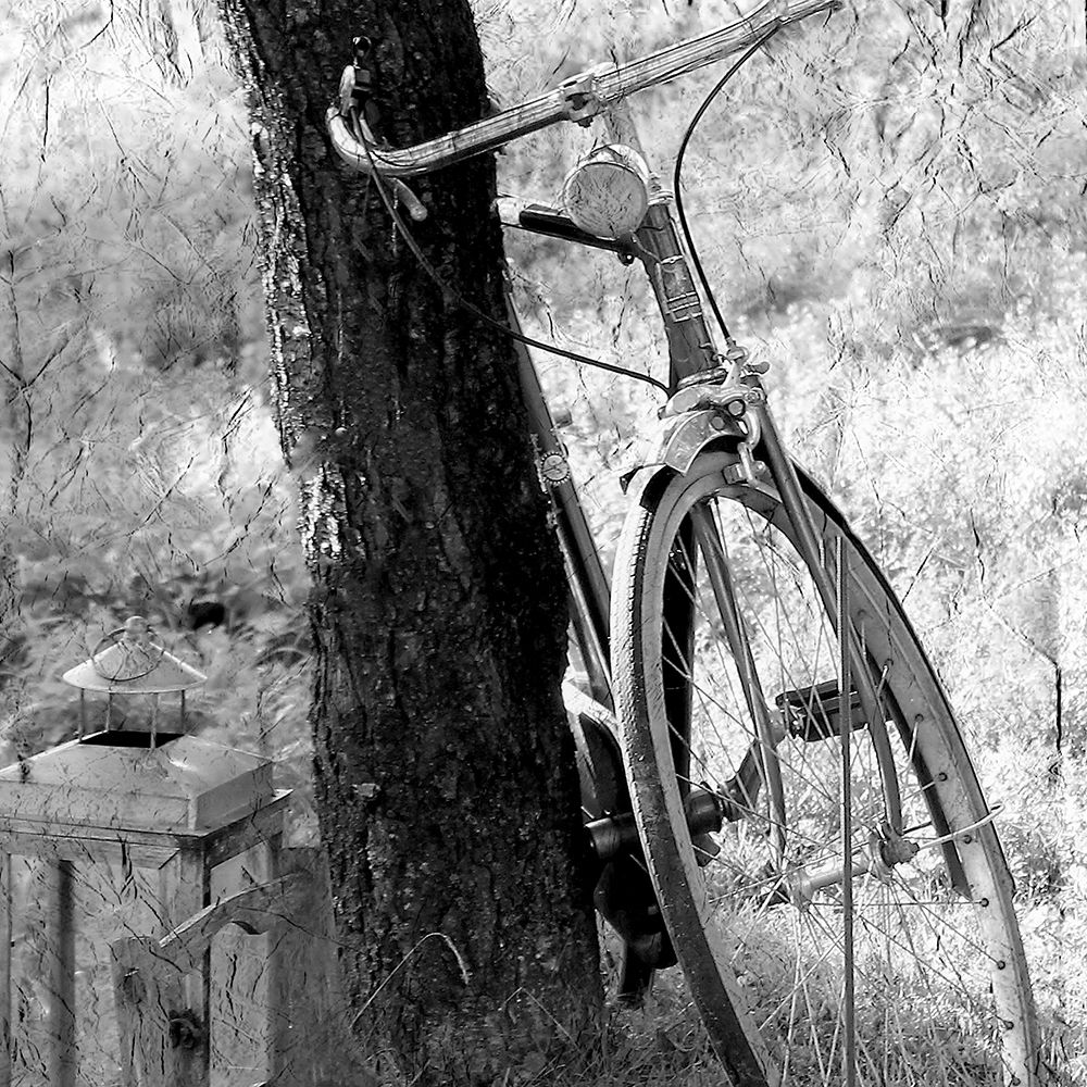 Out for a Ride art print by Kimberly Allen for $57.95 CAD