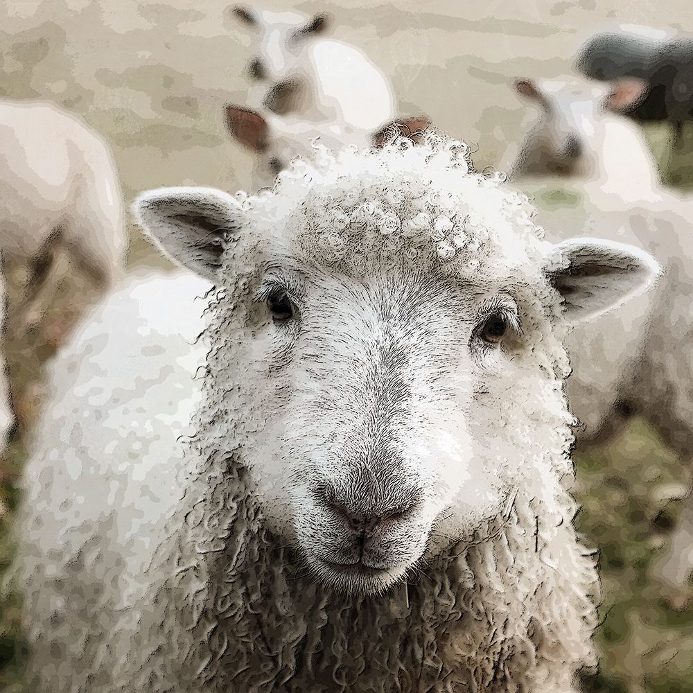 Farm Life 1 V2 art print by Kimberly Allen for $57.95 CAD