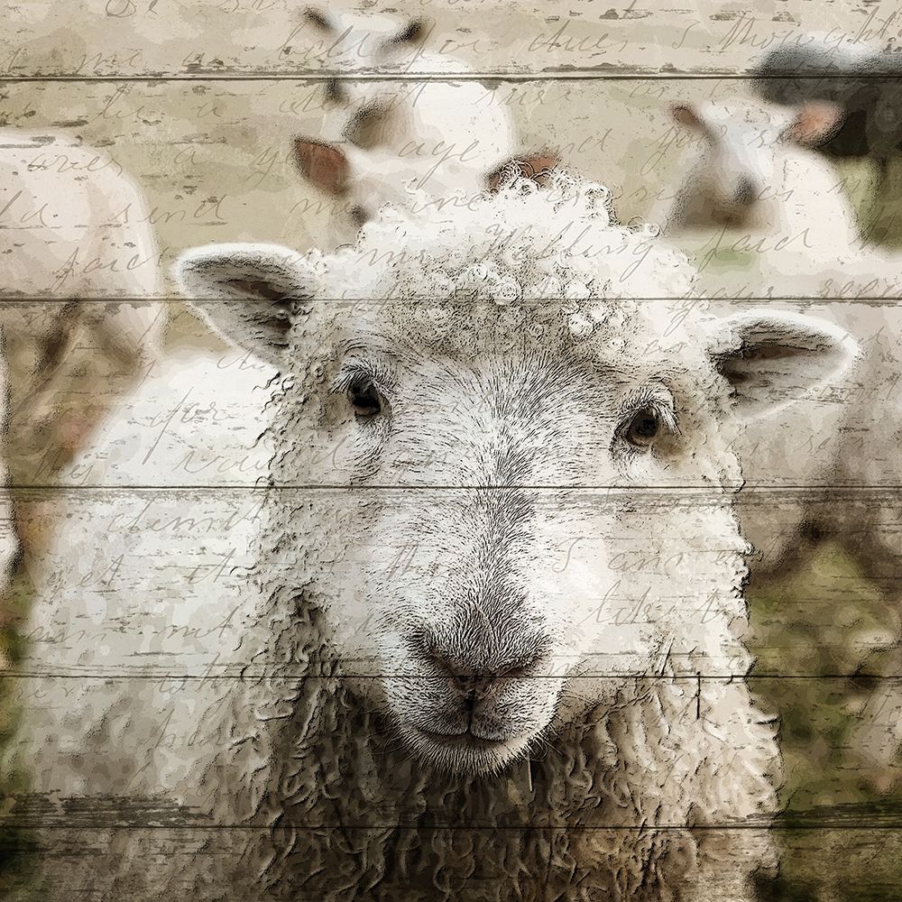 Farm Life 1 art print by Kimberly Allen for $57.95 CAD