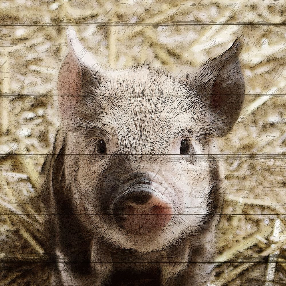 Farm Life 2 art print by Kimberly Allen for $57.95 CAD