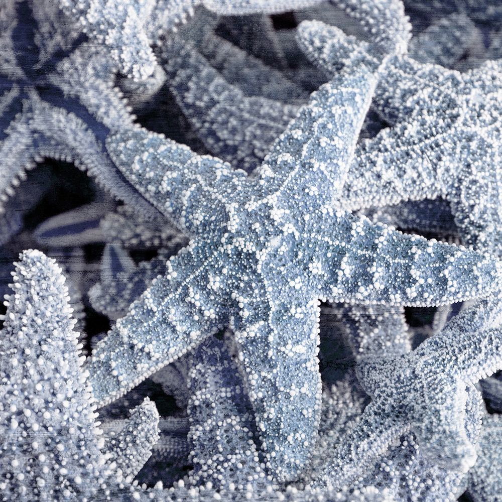 Starfish Beach 2 V3 art print by Kimberly Allen for $57.95 CAD