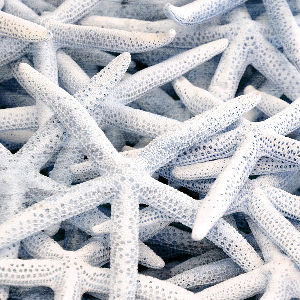 Starfish Beach 3 V3 art print by Kimberly Allen for $57.95 CAD