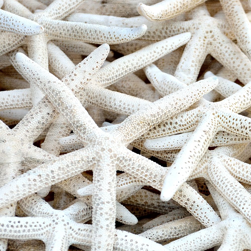 Starfish Beach 3 v2 art print by Kimberly Allen for $57.95 CAD